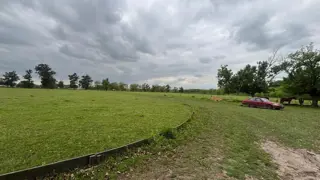 Trebol . foto 5