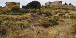 Terreno en Los Coirones foto 4