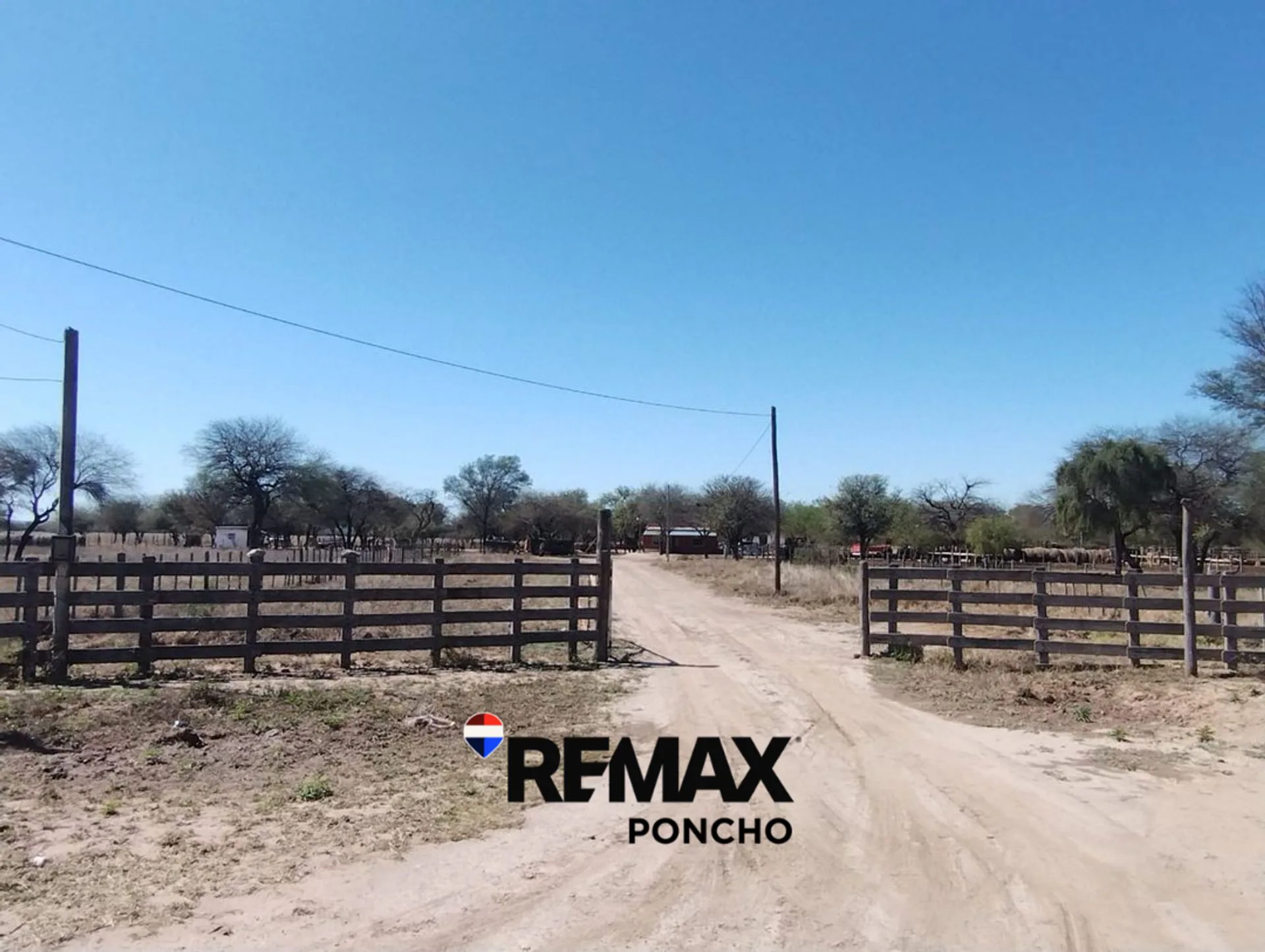 SE VENDE CAMPO DE 500 HAS EN DPTO LA PAZ CATAMARCA foto 2