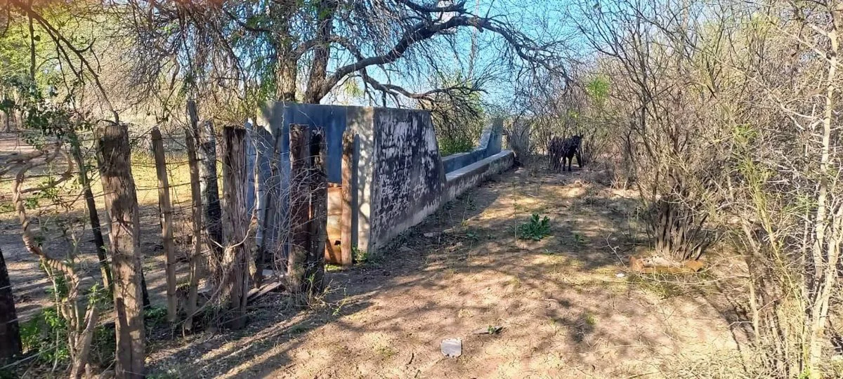 SE VENDE CAMPO DE 500 HAS EN DPTO LA PAZ CATAMARCA foto 4