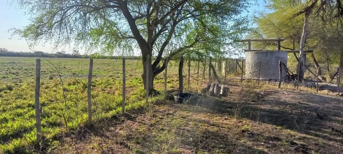 SE VENDE CAMPO DE 500 HAS EN DPTO LA PAZ CATAMARCA foto 5
