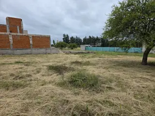 Vendo Terreno de 429 m2 en Concepción del Uruguay Entre Ríos foto 5