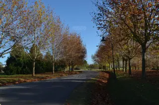 El Nacional Club de Campo foto 4