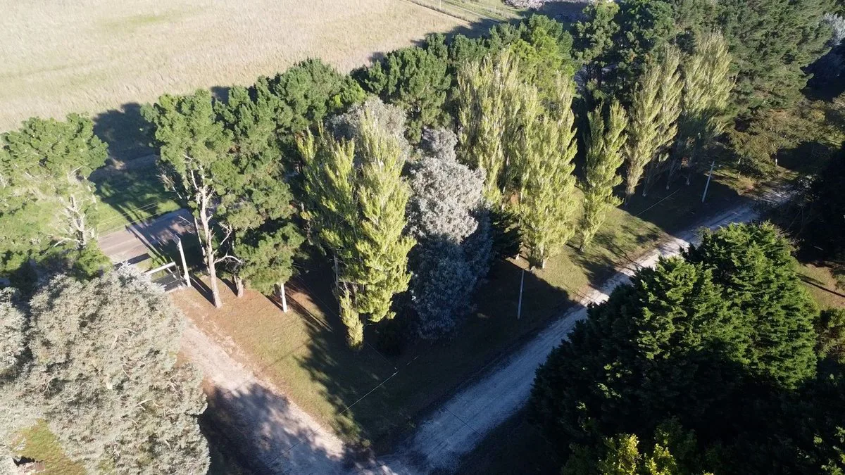 Venta Lote Barrio Pinares de Santa Clara 2028 m² foto 2