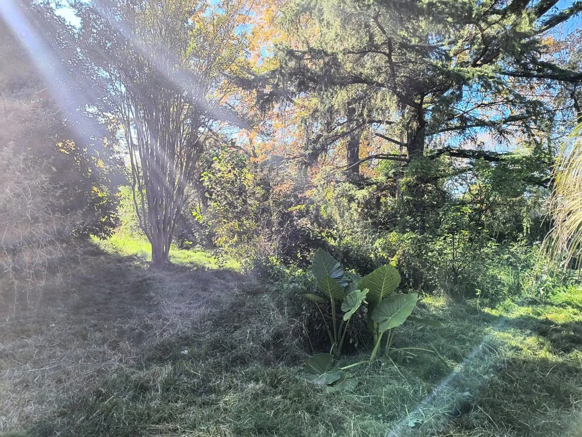 Venta terreno 10 x 30 Moreno cerca Ruta 7 foto 2