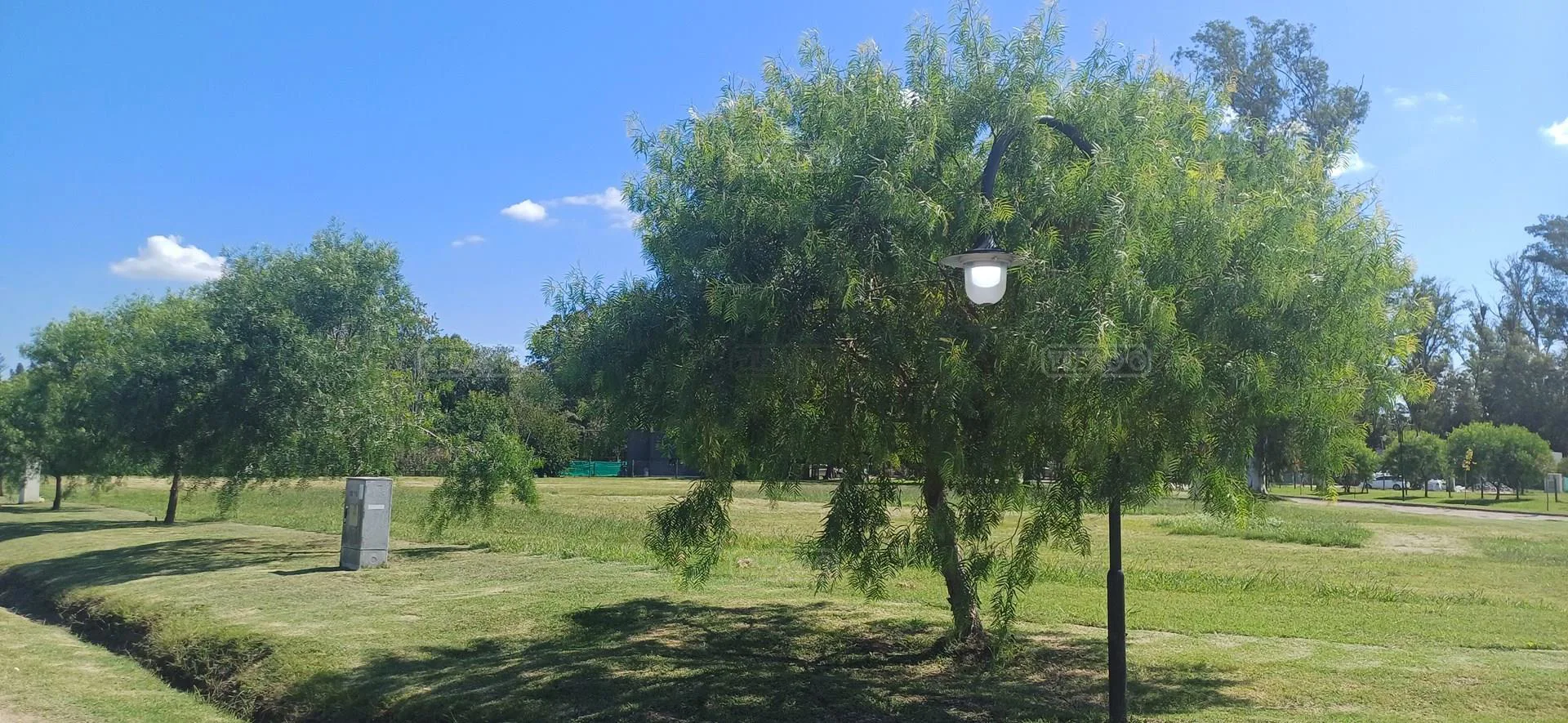 El Ensueño la pista foto 2