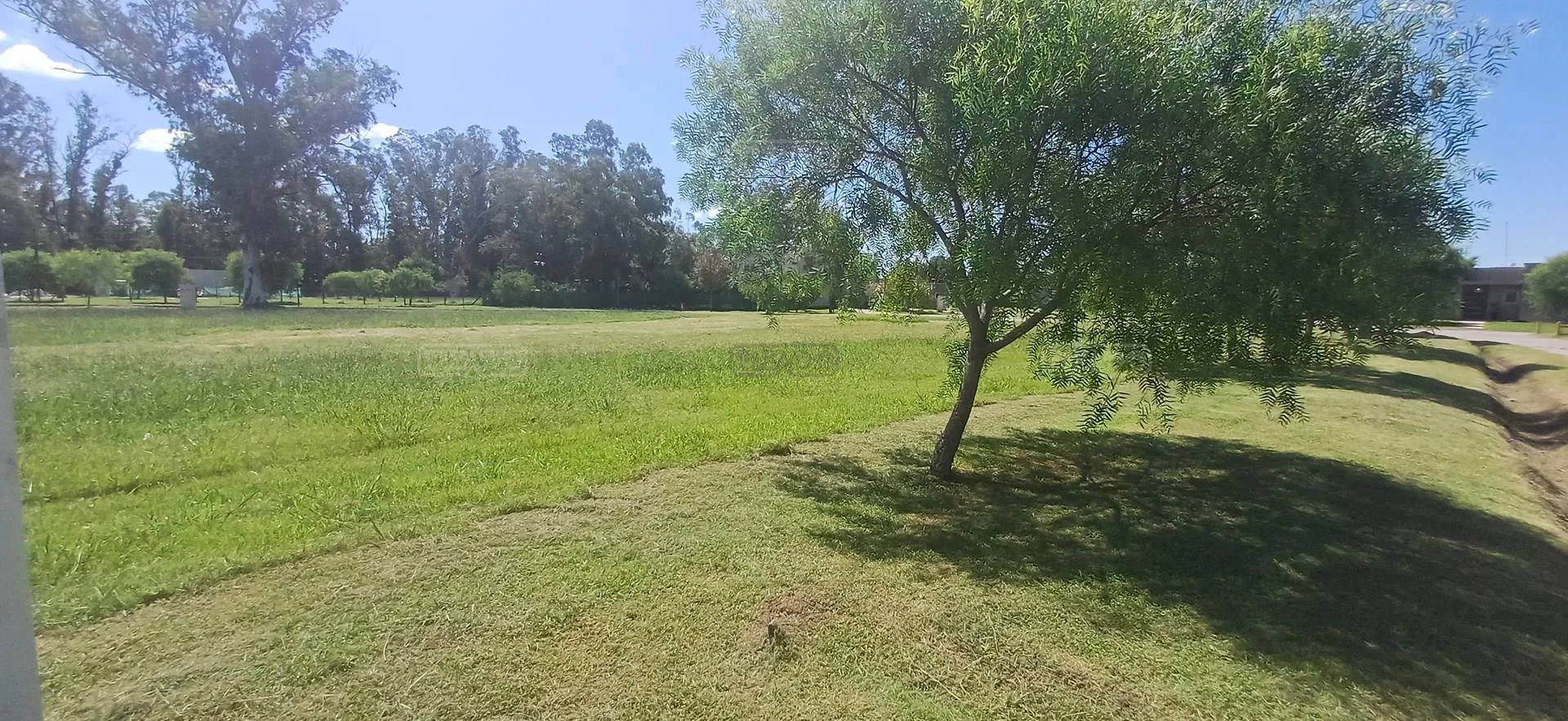 El Ensueño la pista foto 4