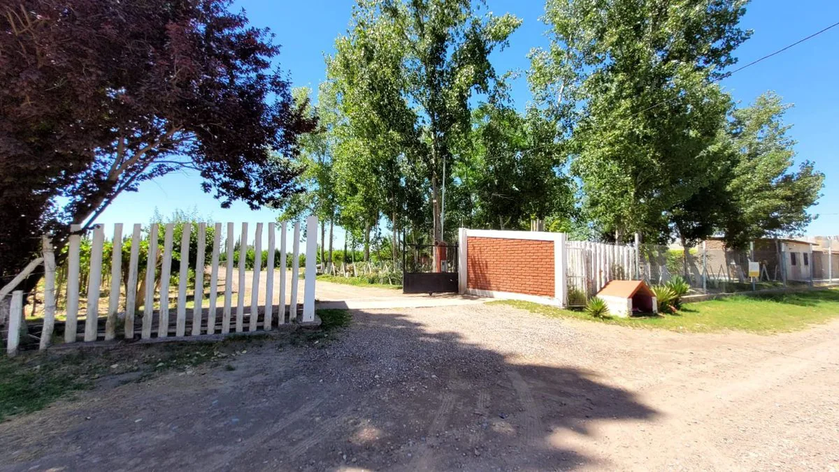 FINCA EN PRODUCCION SAN MARTIN - MENDOZA