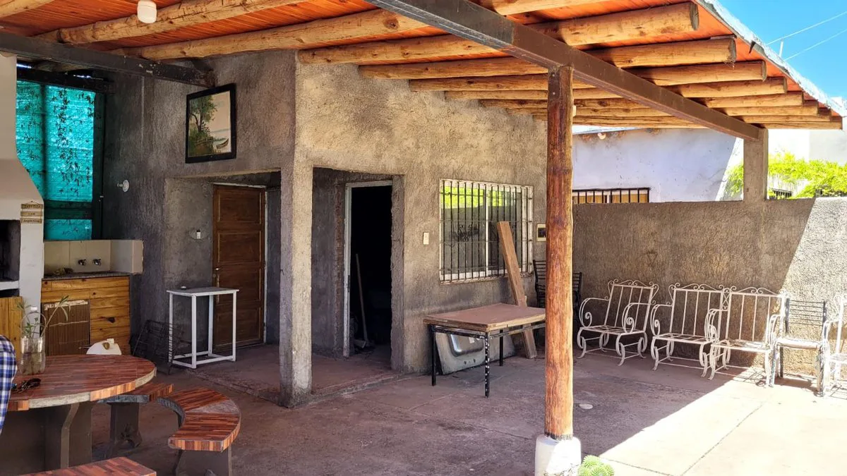 FINCA EN PRODUCCION SAN MARTIN - MENDOZA foto 4
