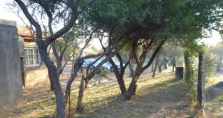 CASA A TERMINAR / Carpinteria -  SAN LUIS foto 5
