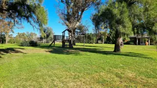 Los Palenques . - Lote: 95 foto 3