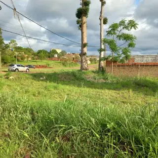 GUIDEK STASIUK PROPIEDADES VENDE TERRENO EN AVENIDA foto 1