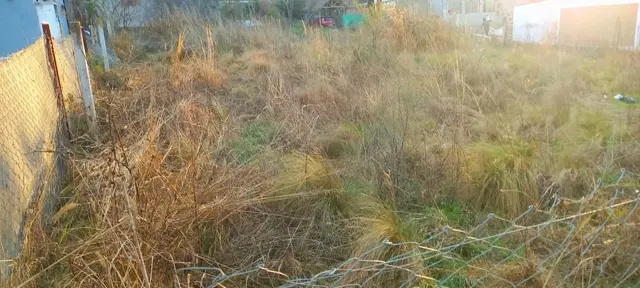 LOTE de 700 m2,  en playas de oro de San Antonio,  con todos los servicios,  totalmente llano con entorno familiar y ESCRITURA....TOTALMENTE ALAMBRADO