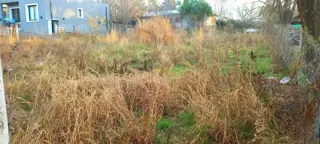 LOTE de 700 m2,  en playas de oro de San Antonio,  con todos los servicios,  totalmente llano con entorno familiar y ESCRITURA....TOTALMENTE ALAMBRADO foto 2