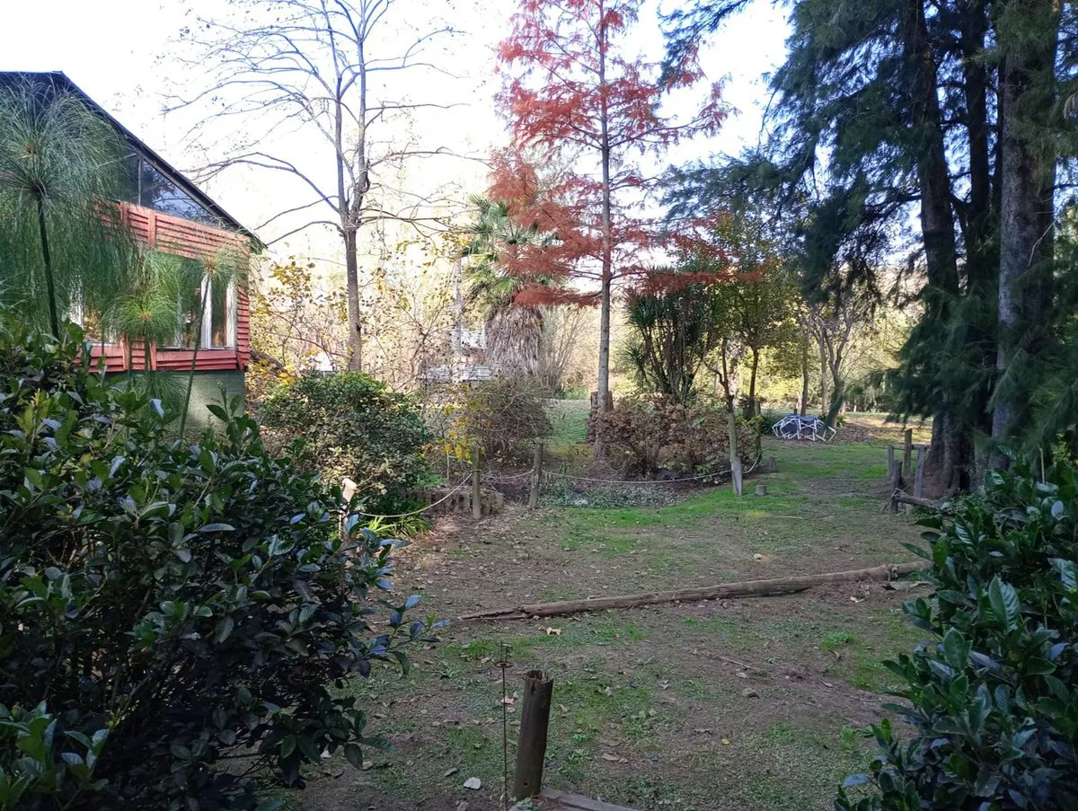 VENTA CASA ISLA CABAÑAS COMPL RESTAURANTE EN TIGRE foto 3