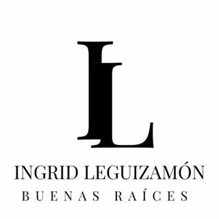 Retasado Venta Oportunidad 2 Cocheras Privadas z/Peatonal Escritura en Centro U$S25.000. foto 2