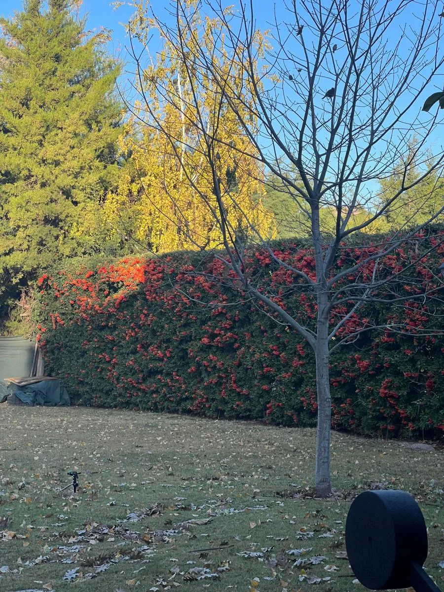 VENTA CASA BARRIO PRIVADO CHACRAS DE CORIA foto 5
