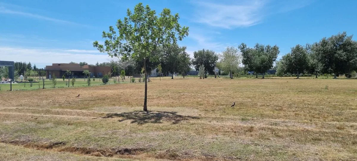 VENTA  TERRENO LOTE SPORTING CLUB SAN VICENTE foto 3