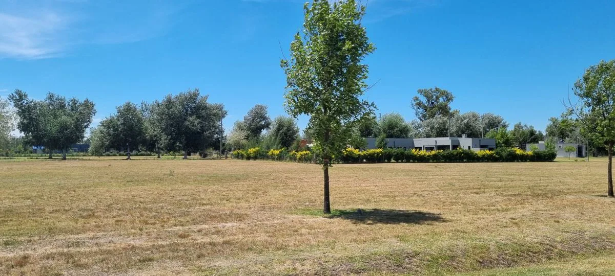 VENTA  TERRENO LOTE SPORTING CLUB SAN VICENTE foto 4