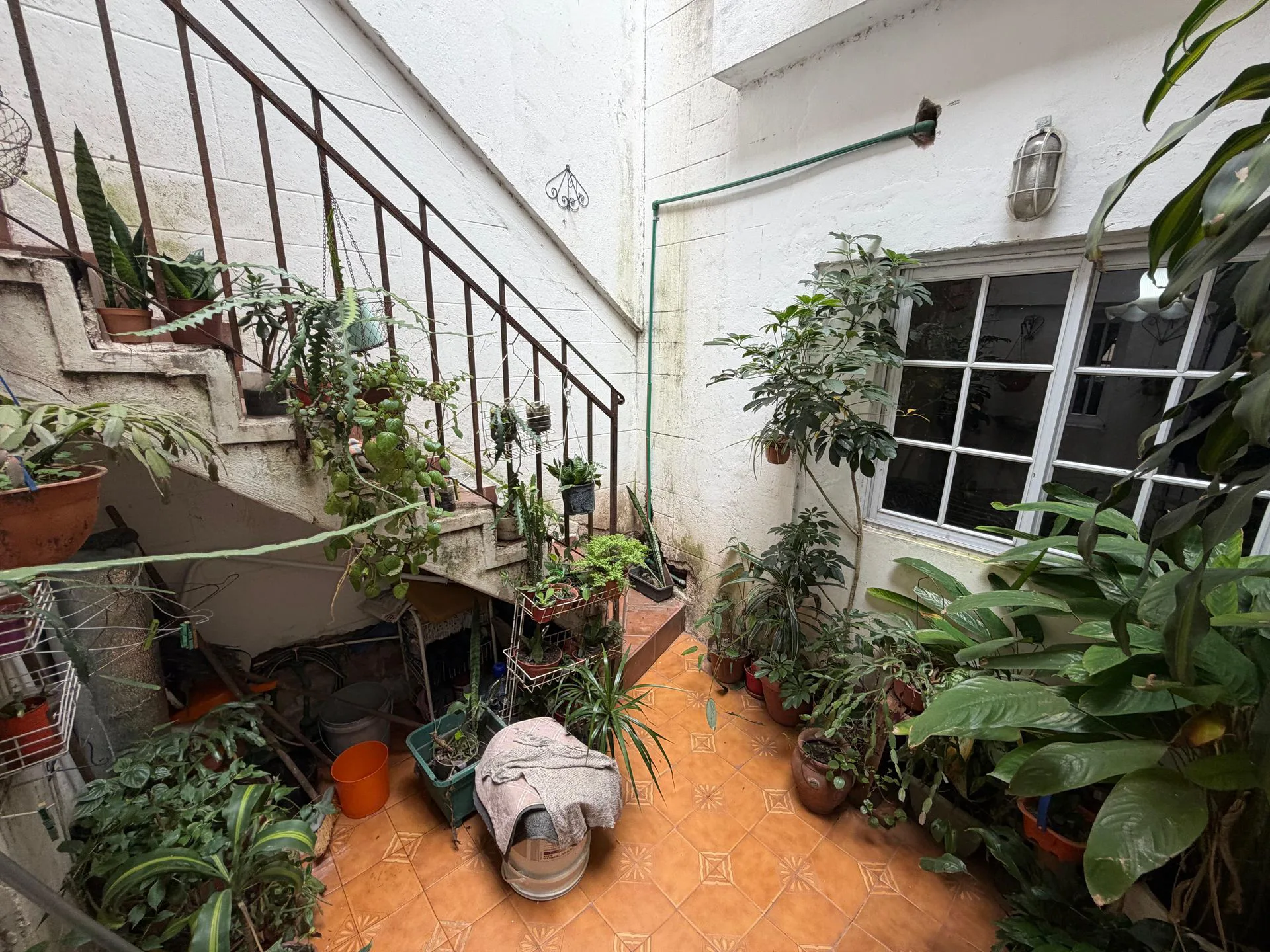 VENTA PH CHACARITA 5 AMBIENTES A REFACCIONAR foto 3