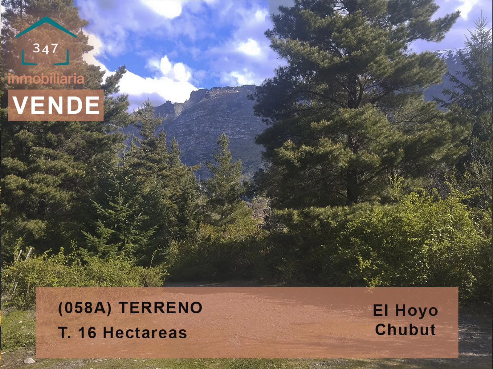 EL HOYO (El Pedregoso) Terreno de 16Has