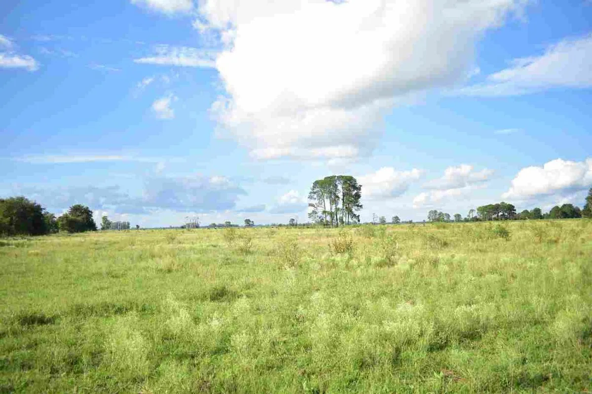 Campo agricola, ganadero  de 75ha en Exaltacion foto 3