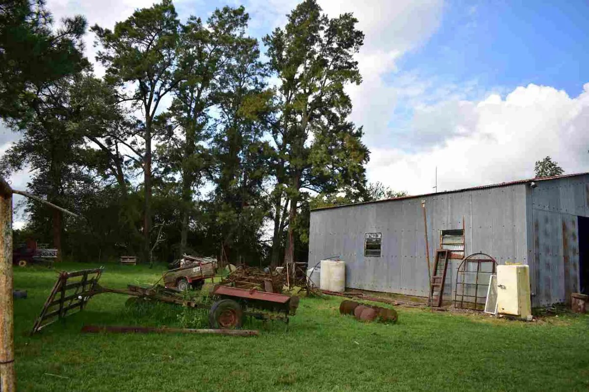 Campo agricola, ganadero  de 75ha en Exaltacion foto 4