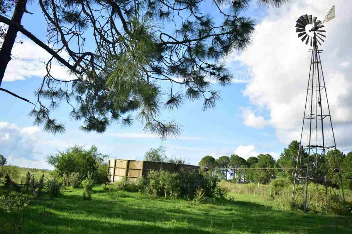 Campo agricola, ganadero  de 75ha en Exaltacion foto 5