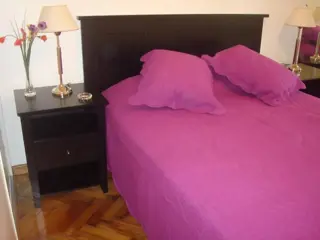 Alquiler Temporario Departamento 2 Ambientes Recoleta foto 3
