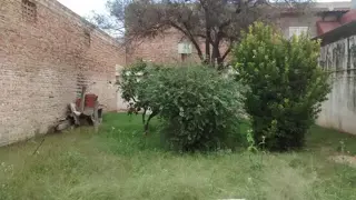 CASA IDEAL FAMILIA  EN BARRIO VILLA AZALAIS OESTE foto 1