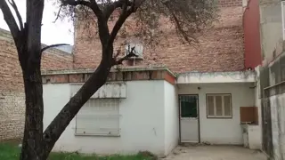 CASA IDEAL FAMILIA  EN BARRIO VILLA AZALAIS OESTE foto 5