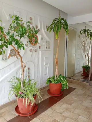 DEPARTAMENTO DE 4 AMBIENTES CON BALCON Y PATIO CUBIERTO EN FLORESTA foto 2