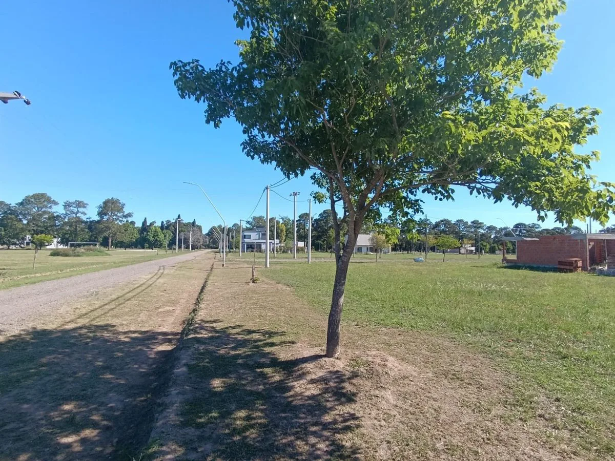 Lote en esquina en Country Los Molinos foto 4