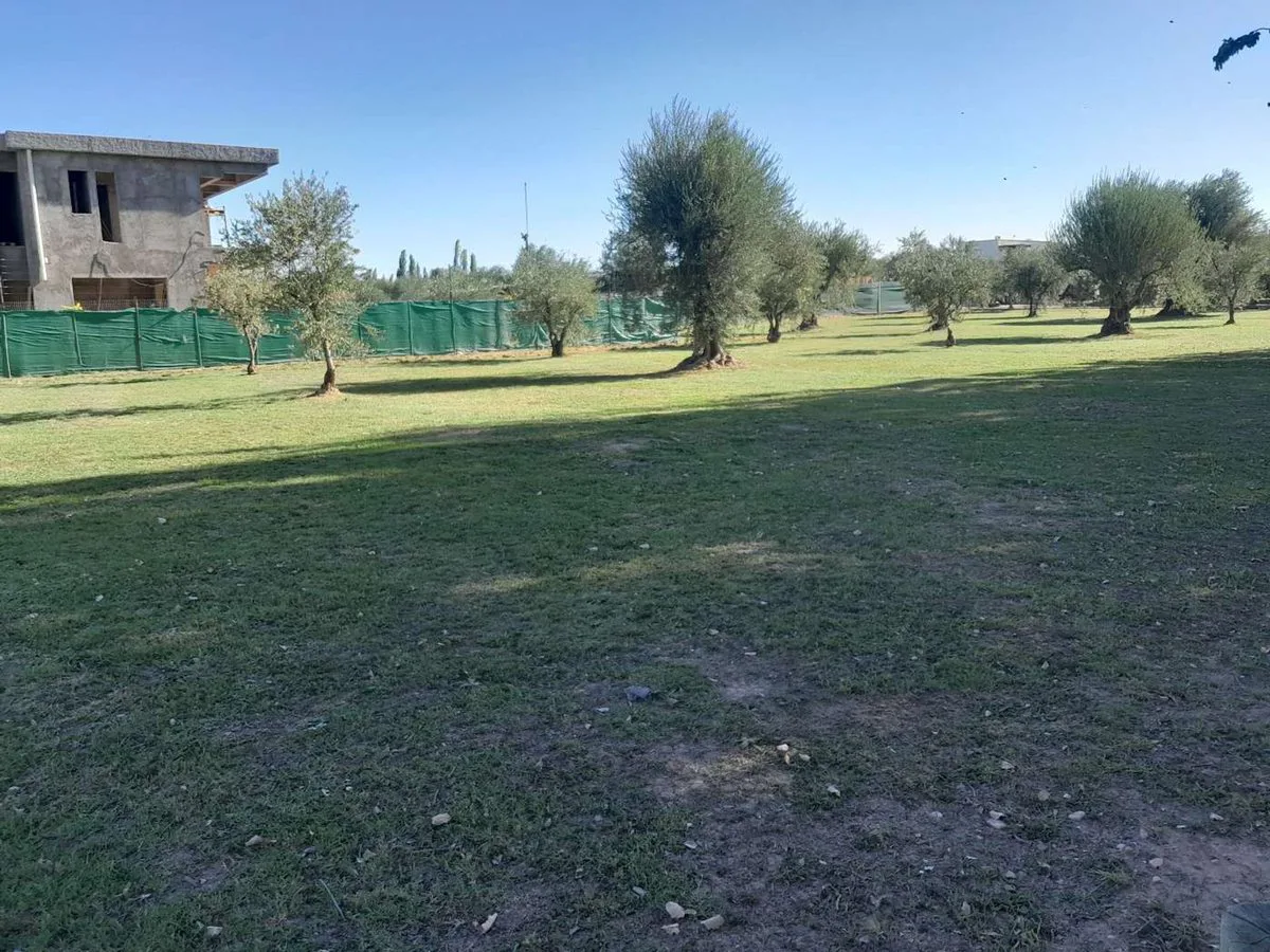 Lote Frontal en venta en Barrio Olivos de Furlotti foto 2