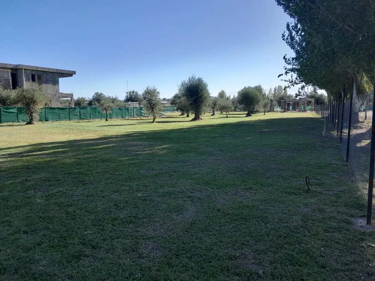 Lote Frontal en venta en Barrio Olivos de Furlotti foto 3