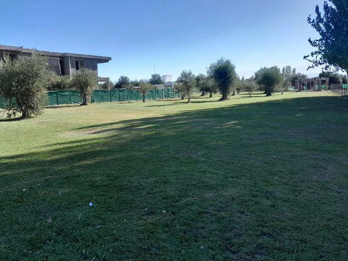 Lote Frontal en venta en Barrio Olivos de Furlotti foto 4