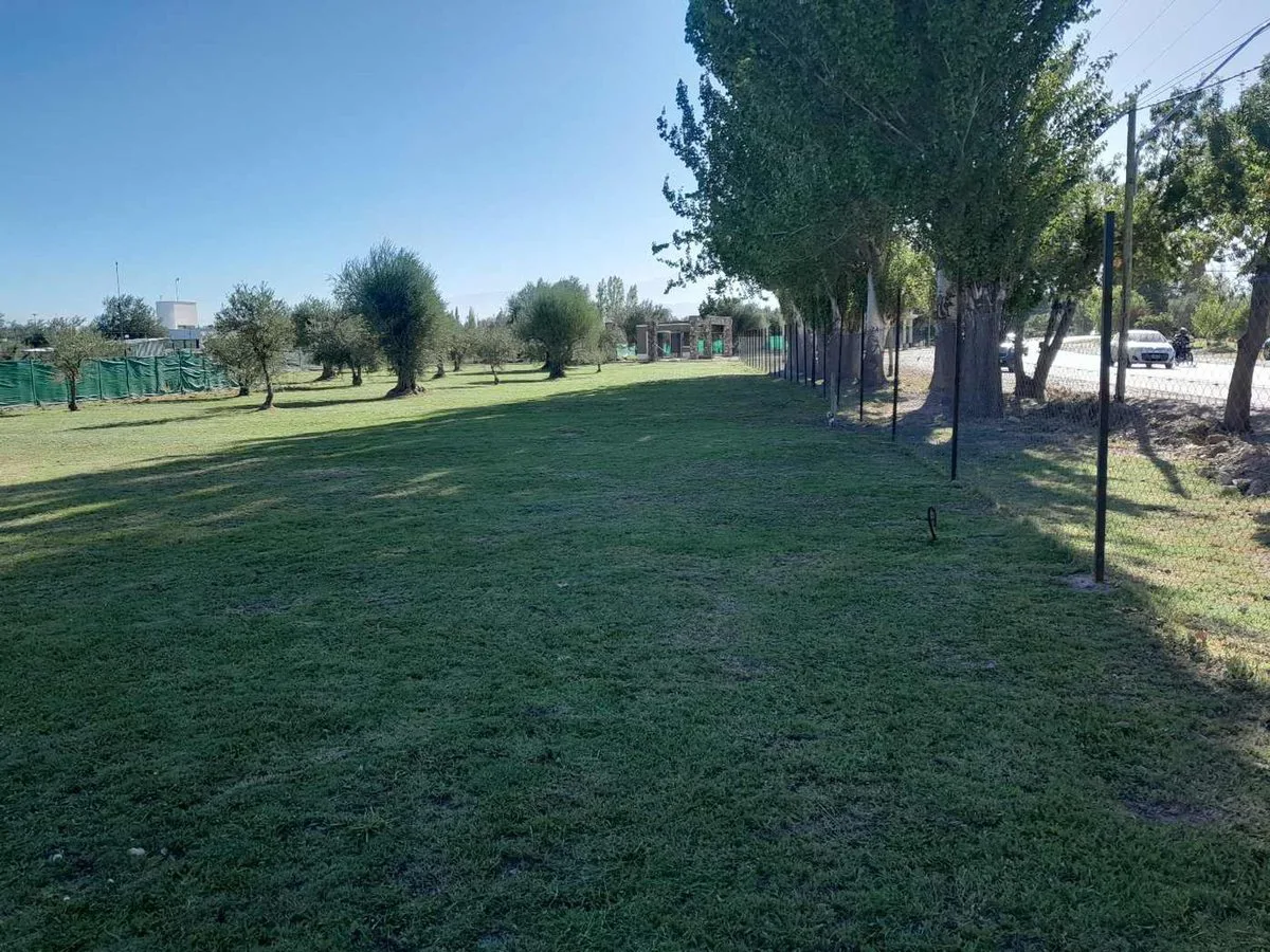 Lote Frontal en venta en Barrio Olivos de Furlotti foto 5