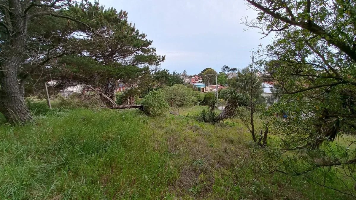 EXCELENTE LOTE A LA VENTA EN MAR DE OSTENDE foto 5
