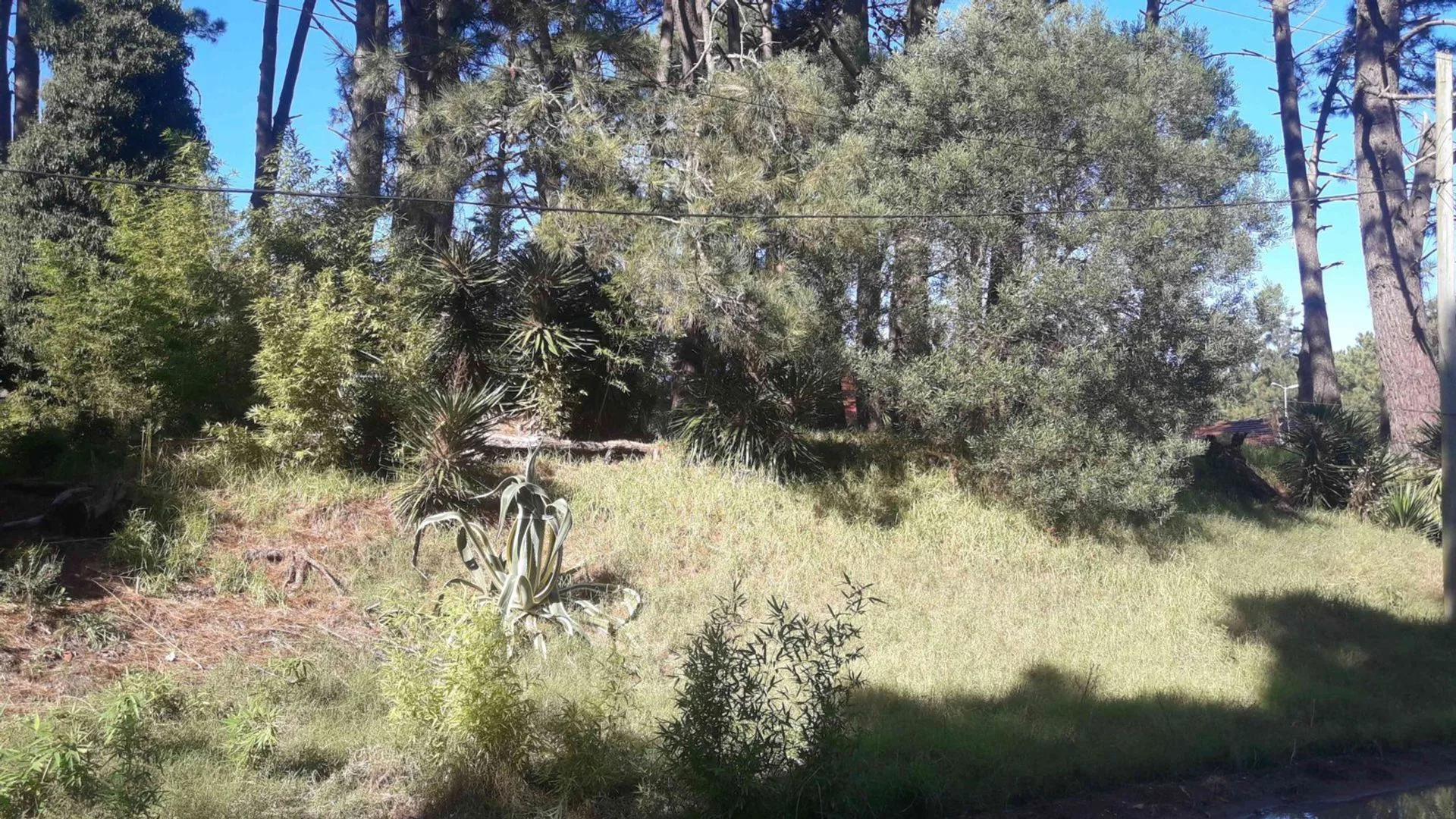 Lote en Venta en Valeria del Mar foto 2