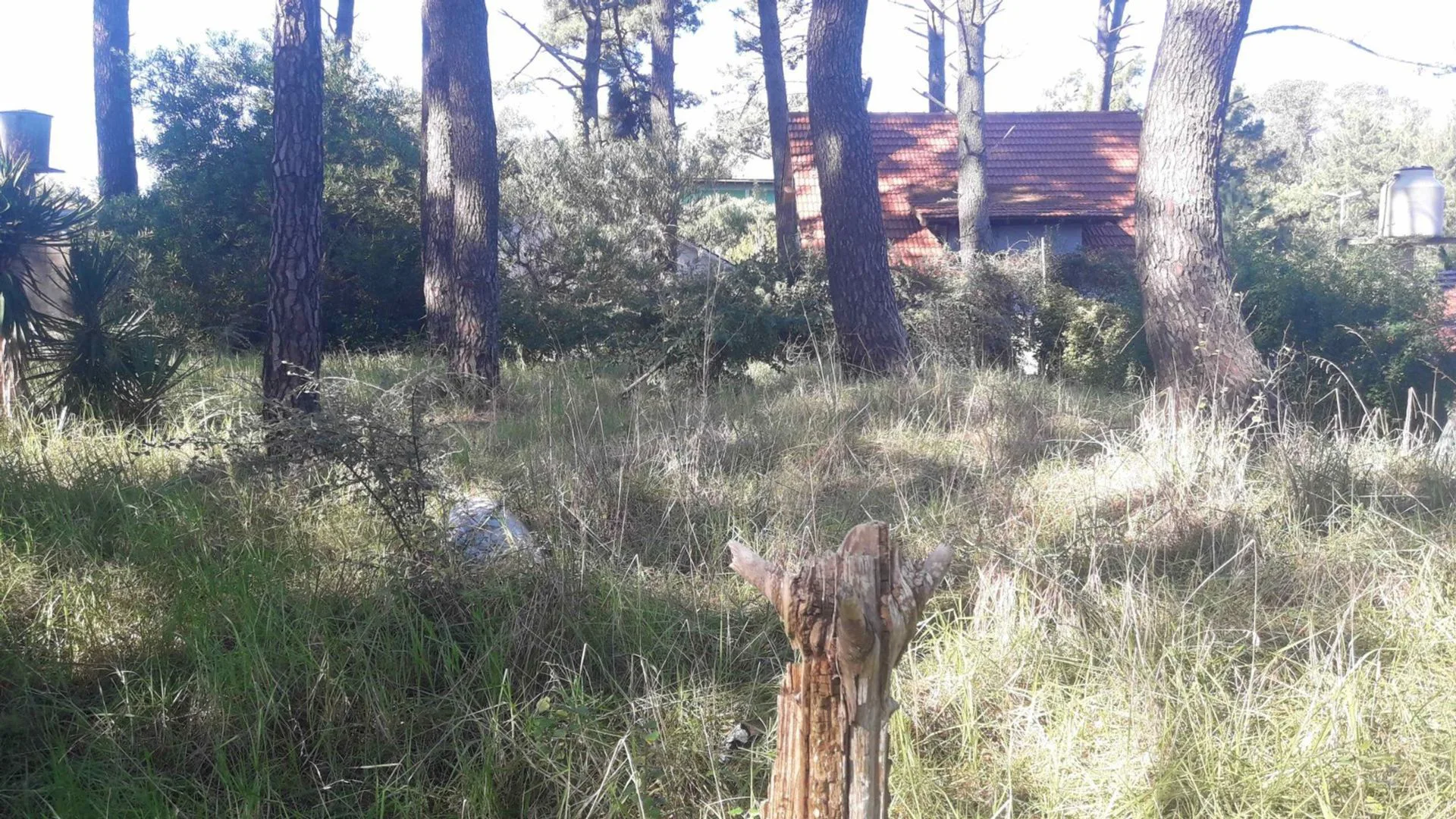 Lote en Venta en Valeria del Mar foto 5