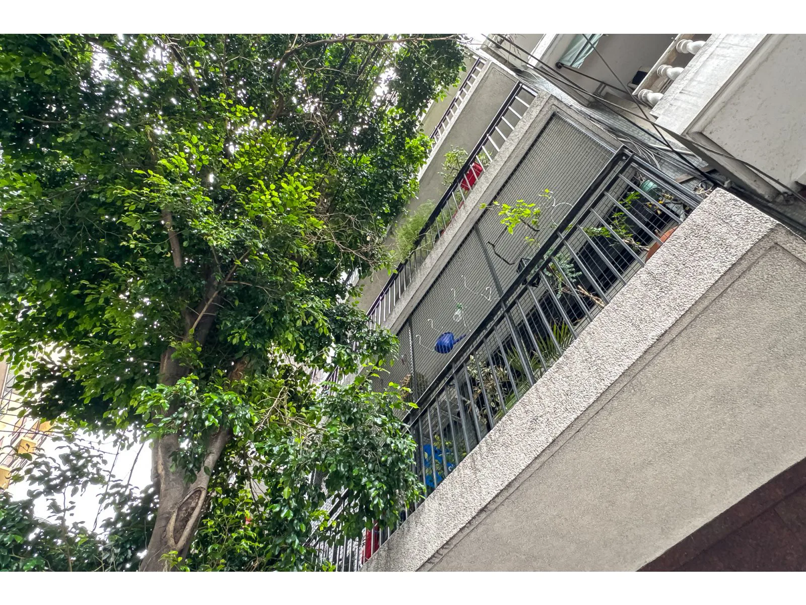 VENTA DEPARTAMENTO DE 3 AMBIENTES EN BARRIO NORTE foto 2