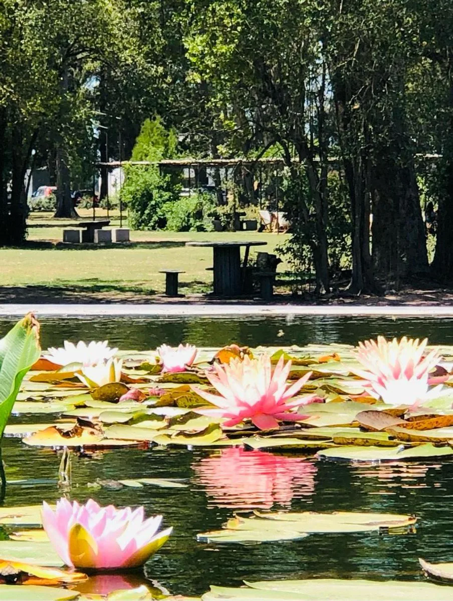LOTE EN VENTA EN TRES PINOS VILLA DE CAMPO foto 4