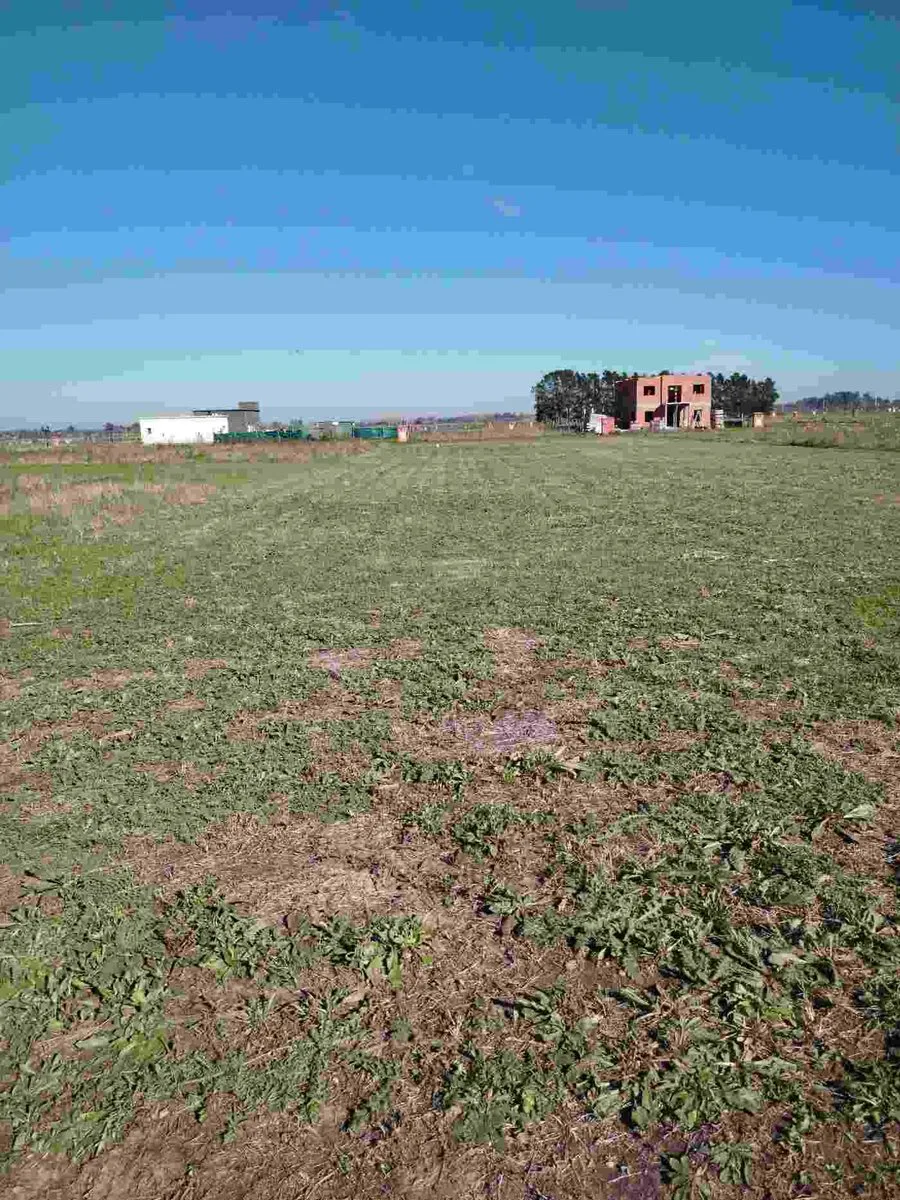 Venta Lote Terreno Barrio Cerrado San Fermin foto 2