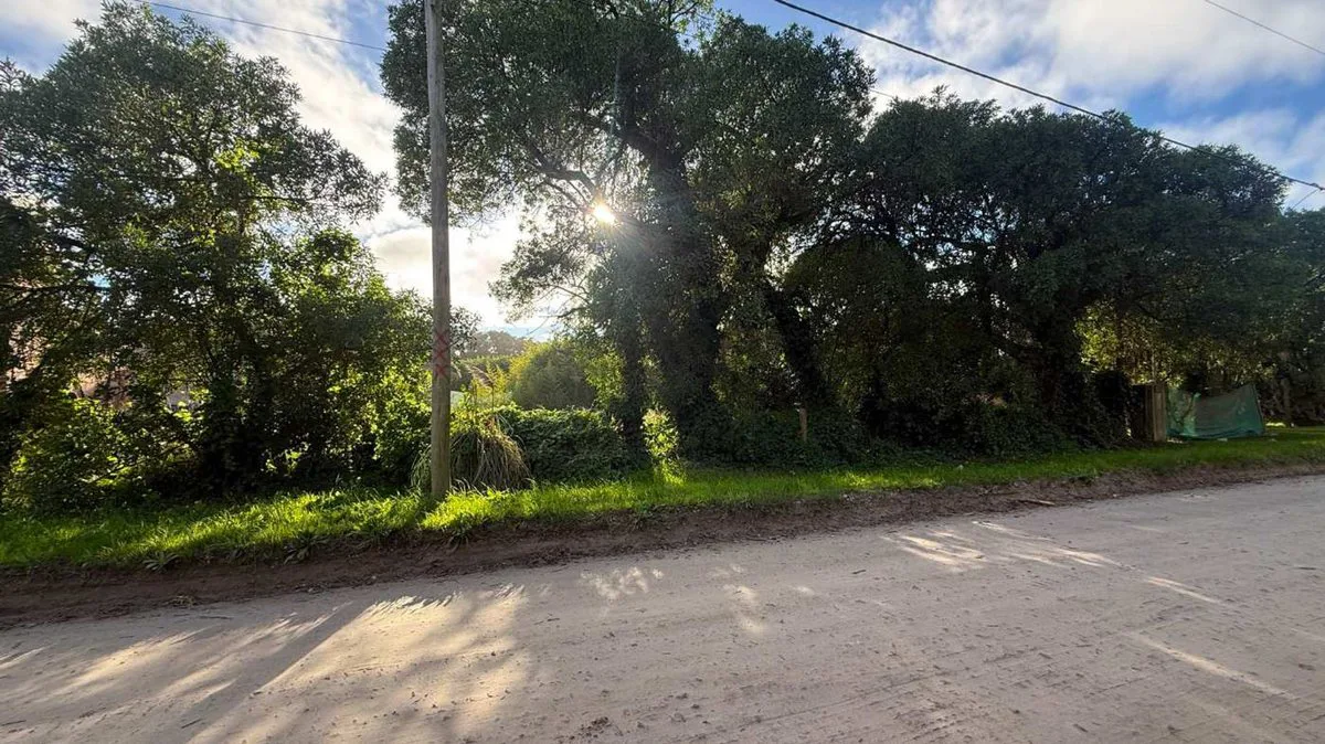 VENTA TERRENO DE 272 M2 EN PARQUE PEÑA foto 2