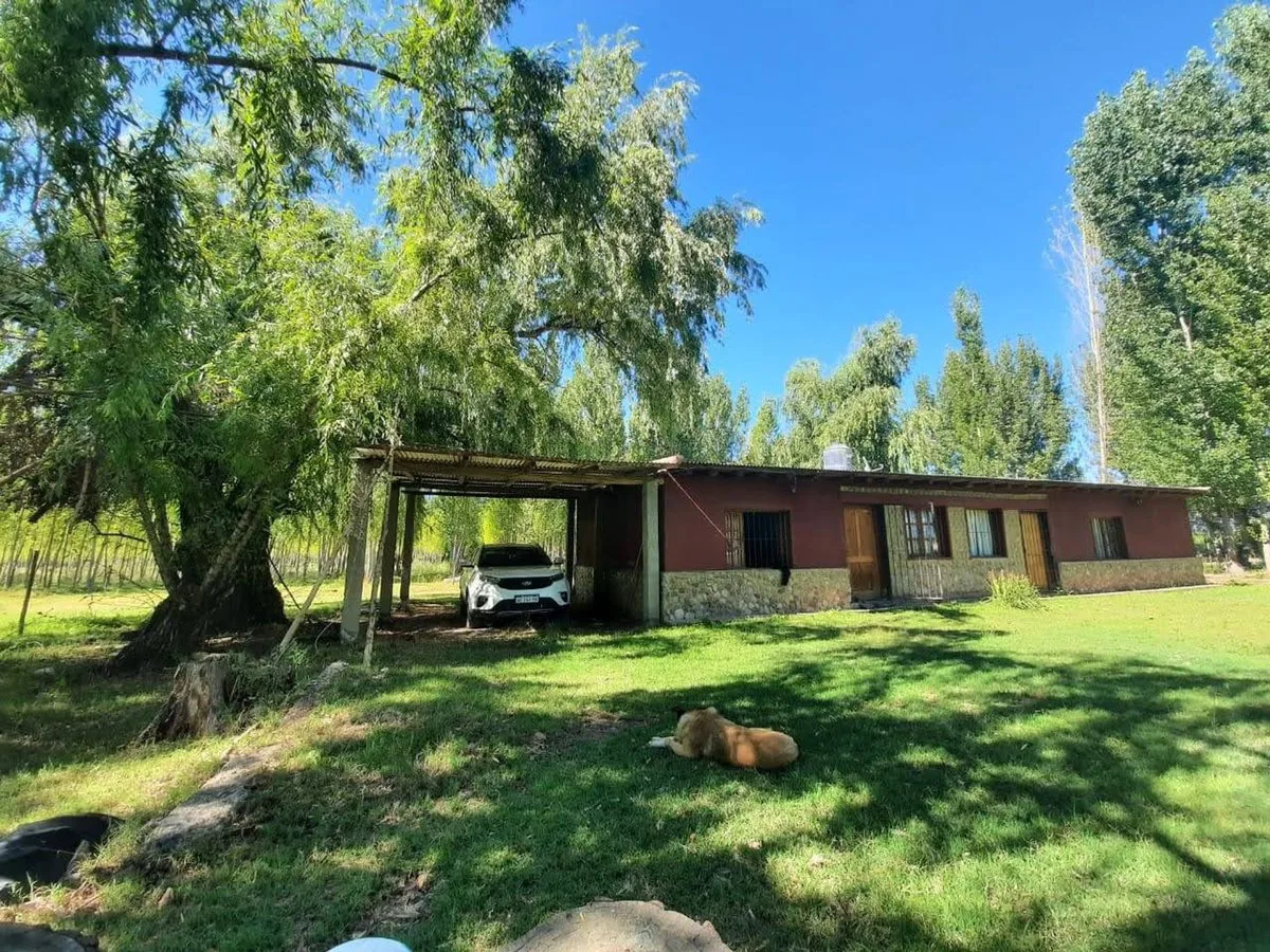 Venta de Finca/campo en Tunuyan foto 5