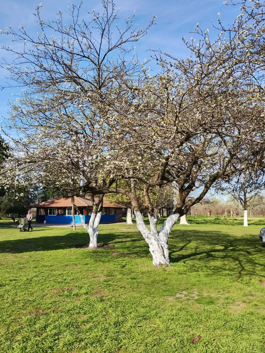 VENTA  DE LOTE,  CON VIVIENDAS. . foto 3