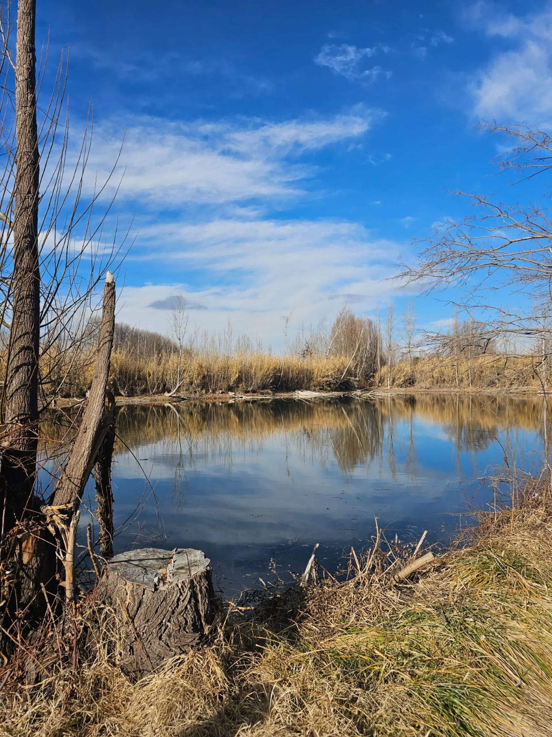 VENTA DE 16 HECTAREAS DE TERRENO CON LAGUNA foto 2