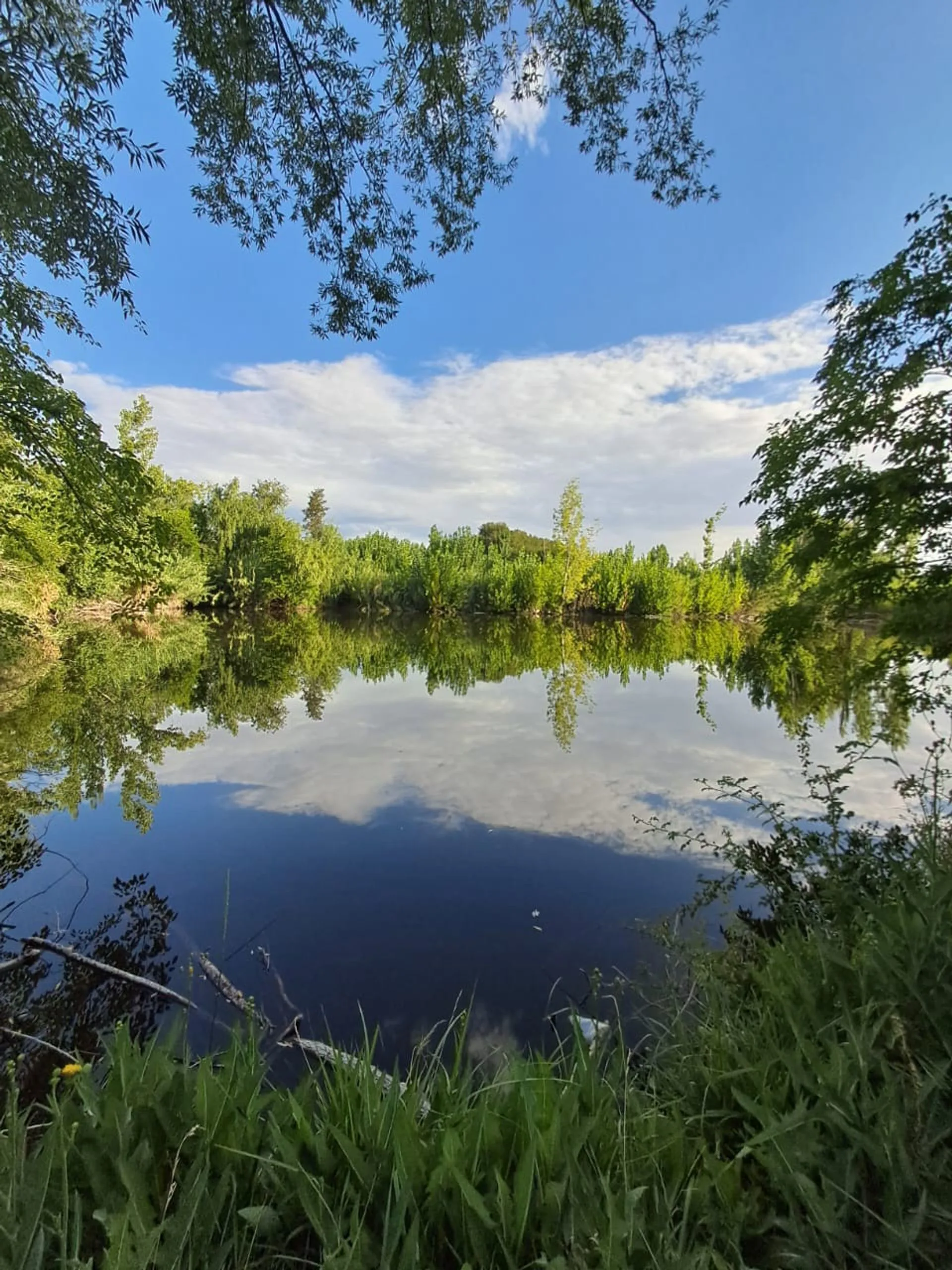 VENTA DE 16 HECTAREAS DE TERRENO CON LAGUNA foto 3