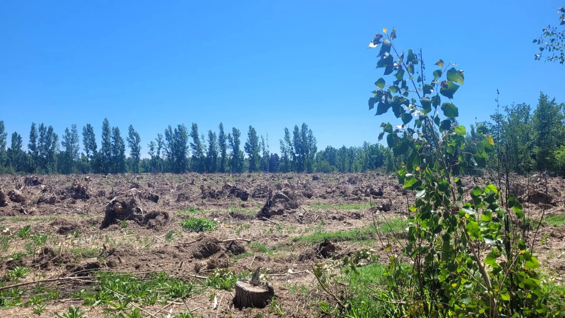 VENTA DE 16 HECTAREAS DE TERRENO CON LAGUNA foto 5