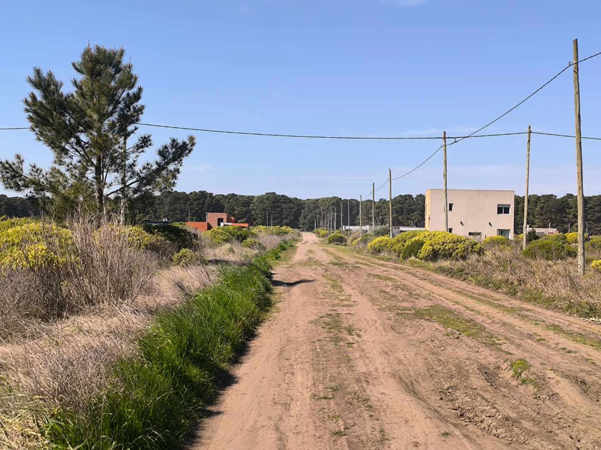 Venta Lote 400 mts2 en 167 y 56 Necochea foto 5